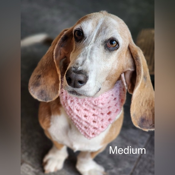 Crochet Pet Bandana With Matching Bag Holder Size Medium / Large - Picture 13 of 14